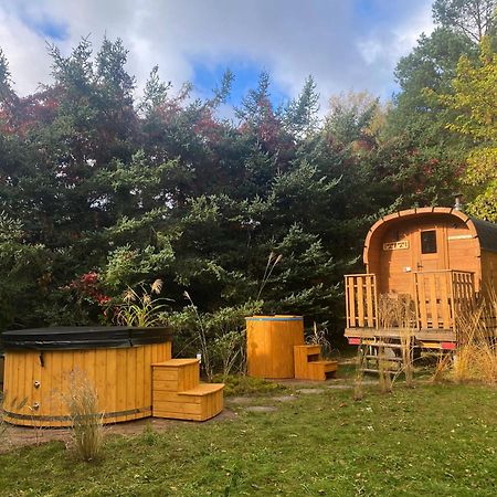 Szeroki Bor Oaza W Puszczy Z Sauna, Bania I Jacuzzi Ngoại thất bức ảnh